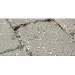 Гідрофобізатор для тротуарної плитки, бетону та штучного каменю FOB-F7 20 л