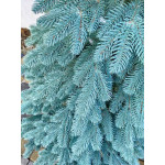 Искусственная литая елка  Премиум 1.5 м голубая