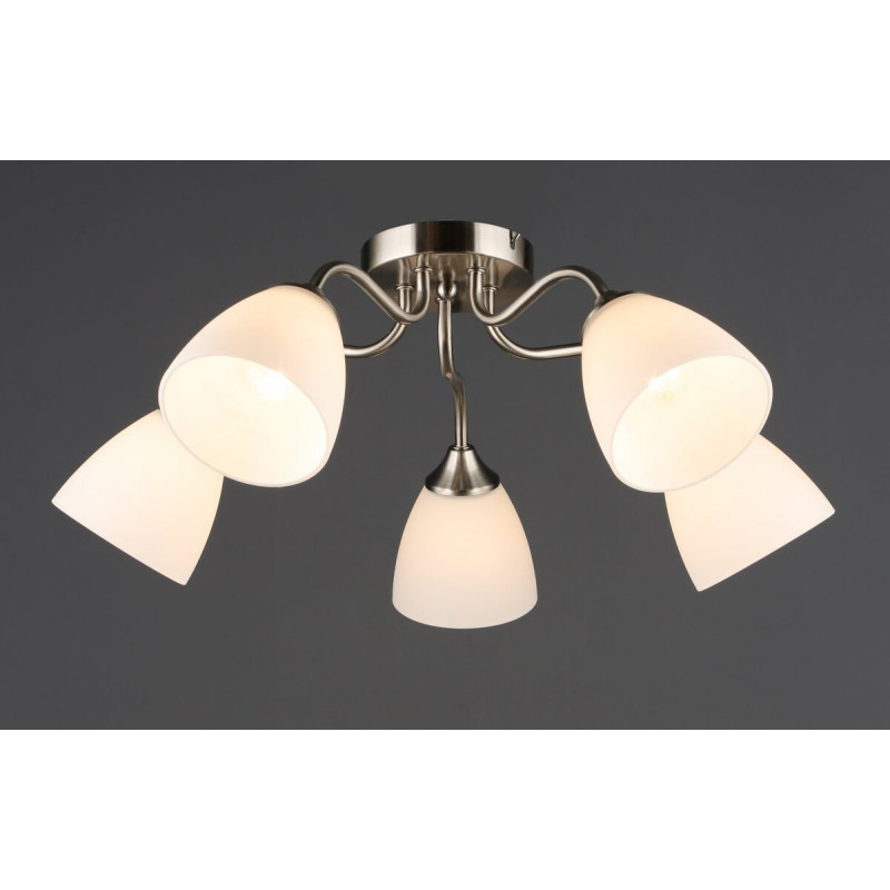 Стельовий світильник на 5 плафонів N6631/5