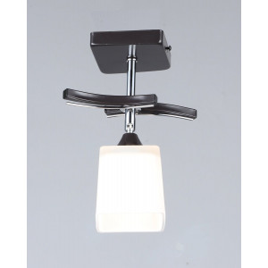 Стельовий світильник B N1435/1 (чорний)