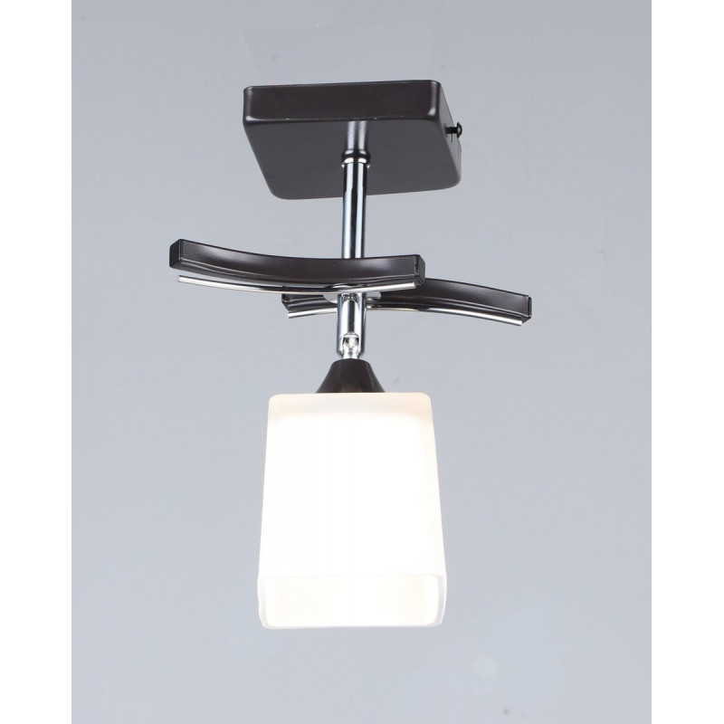 Стельовий світильник B N1435/1 (чорний)