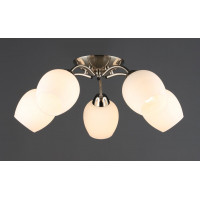 Люстра стельова N6629/5