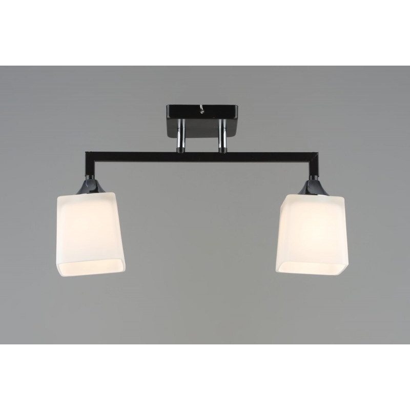 Люстра стельова Sirius B N6116/2 COFFEE+CR на 2 плафони