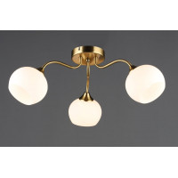 Стельовий світильник N6632/3