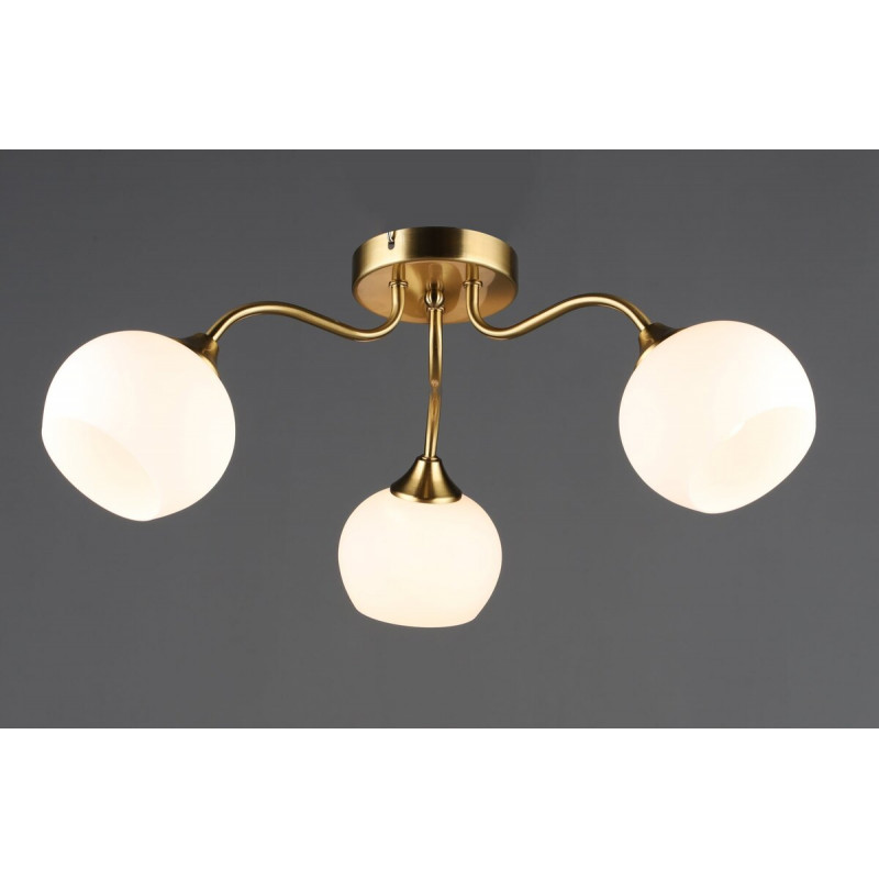 Стельовий світильник N6632/3