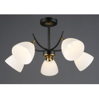 Стельовий світильник N6602/5