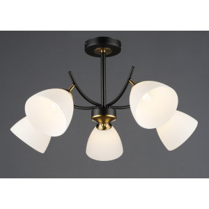 Стельовий світильник N6602/5