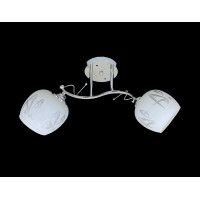 Люстра на два плафона 9509F/2 хром