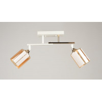 Люстра стельова VALESO K2322/2 на 2 плафони E27, Білий+Золото, Метал/Скло