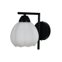 BD662-1 BK