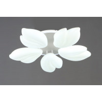 Люстра стельова світлодіодна VALESO 5 плафонів LED 76W Білий Сталь Акрил 3000K+6500K YH1413/5