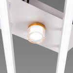 Люстра стельова світлодіодна VALESO 2 плафони LED 20W Білий Золото Сталь Акрил YH1310/2