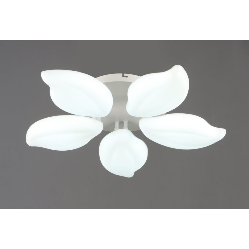 Люстра стельова світлодіодна VALESO 5 плафонів LED 60W Білий Сталь Акрил 3000K+6500K YH1408/5