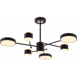 Люстра світлодіодна акрилова Sirius B X13287/6 BK+FGD