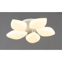 Люстра стельова світлодіодна VALESO 5 плафонів LED 60W Білий Сталь Акрил 3000K+6500K YH1411/5