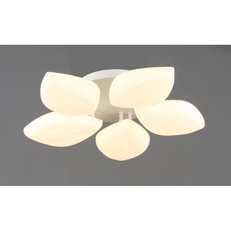 Люстра стельова світлодіодна VALESO 5 плафонів LED 60W Білий Сталь Акрил 3000K+6500K YH1411/5