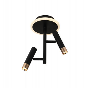 Потолочный светодиодный светильник G 2917/2 16W Черный+Золото