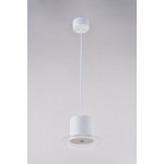 Люстра підвісна Sirius RT459 WT 9W