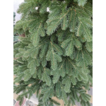 Искусственная литая елка «Швейцарская» 2.5 м зеленая