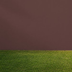 Краска фасадная силиконовая Aura Luxpro Residens RAL 8015 (каштановый коричневый) матовая TR 2.7 л 