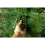 Искусственная елка «Сосна Микс» зеленая