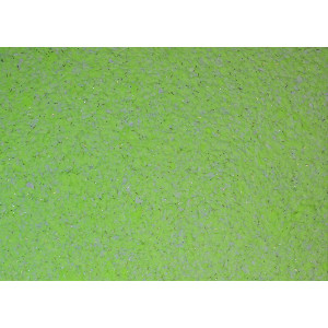 Рідкі шпалери «Новий-тон» №32 зелений
